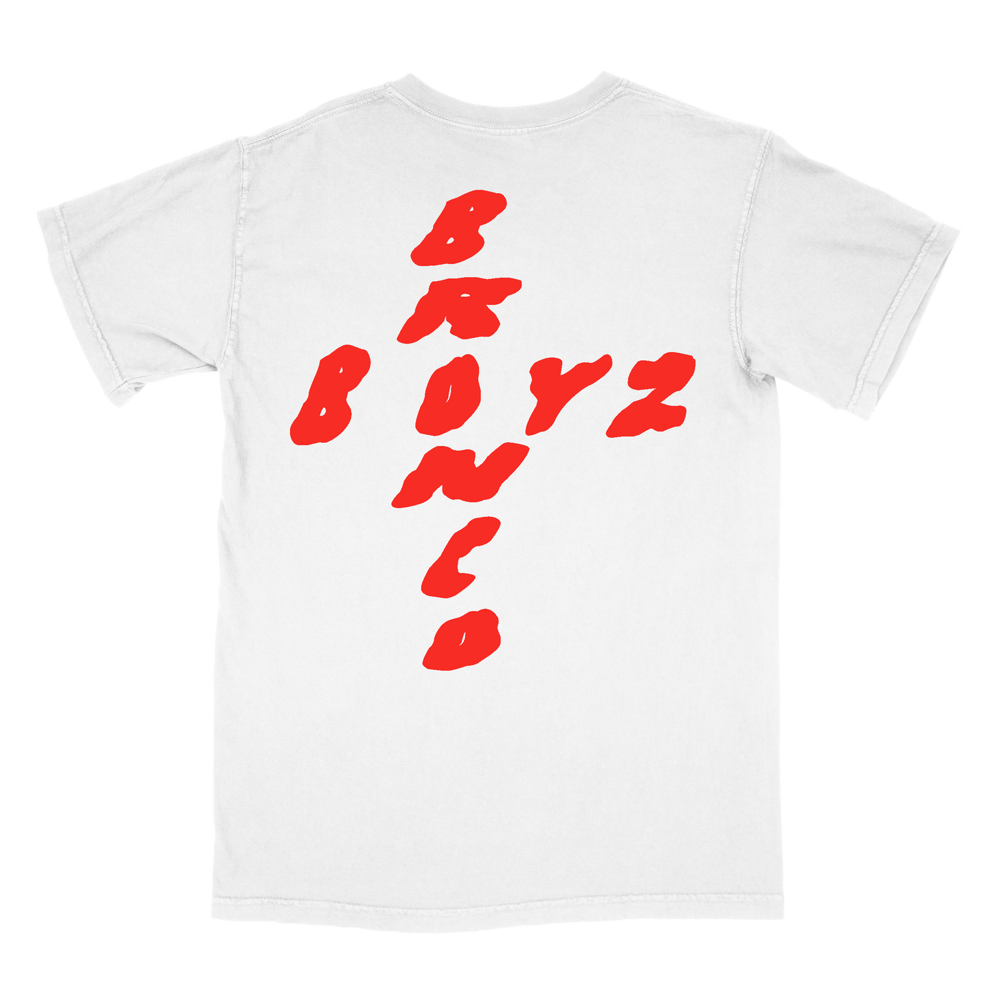 BIG DONNIE 2024 CAMPAIGN MERCH (VINTAGE WHITE)